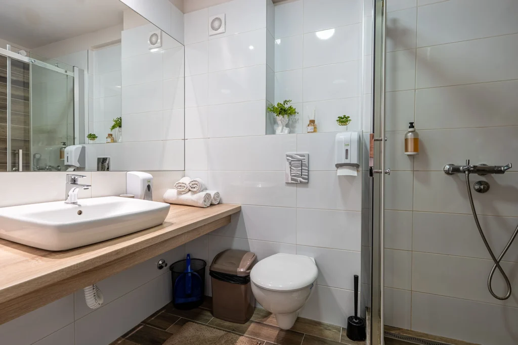 Vila Jela 2 apartman Vip Casa Zlatibor (6)