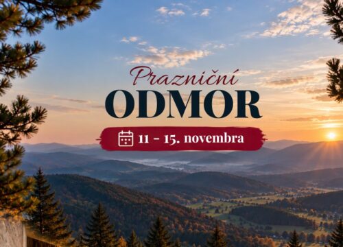 Praznična ponuda (11-15. novembar)